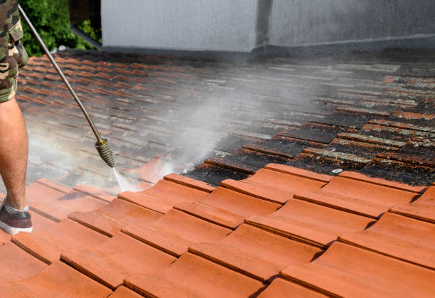 Best Deck Pressure Washing  in Filer, ID
